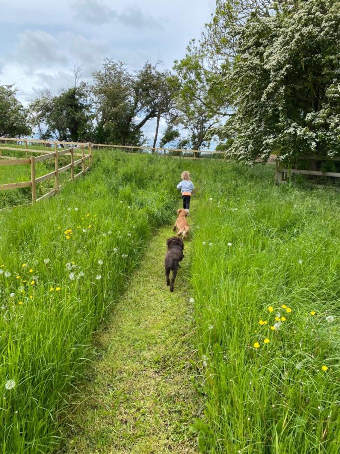 The Paddock Bredon